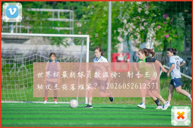 世界杯最新球员数据榜：射手王与助攻王花落谁家？_20260526125718