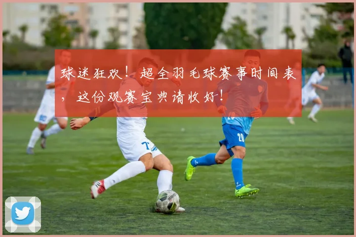 球迷狂欢！超全羽毛球赛事时间表，这份观赛宝典请收好！
