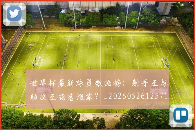 世界杯最新球员数据榜：射手王与助攻王花落谁家？_20260526125718